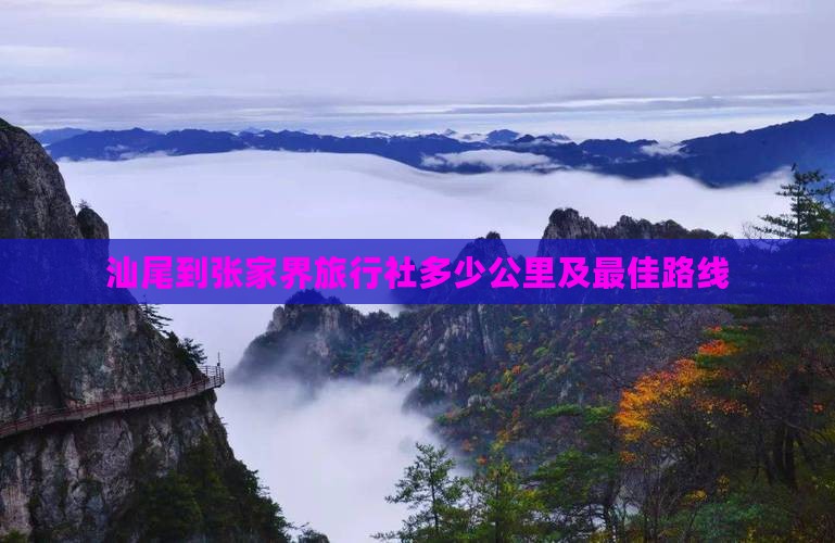 汕尾到张家界旅行社