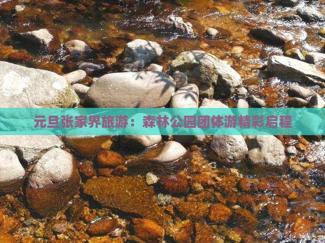元旦到张家界森林公园团体旅游
