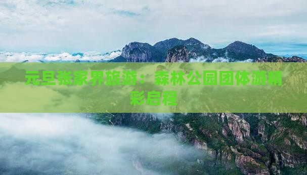元旦到张家界森林公园团体旅游