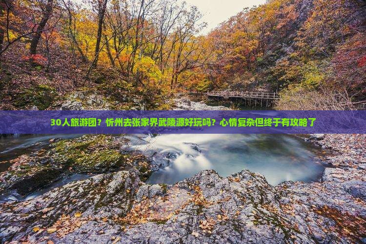 忻州去张家界武陵源大型旅游团