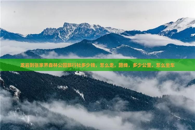 龙岩到张家界森林公园旅行社