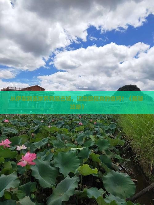伊犁到张家界凤凰古城旅游