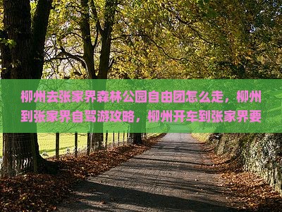 柳州去张家界森林公园自由团