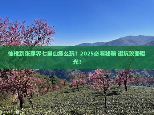 仙桃到张家界七星山旅游