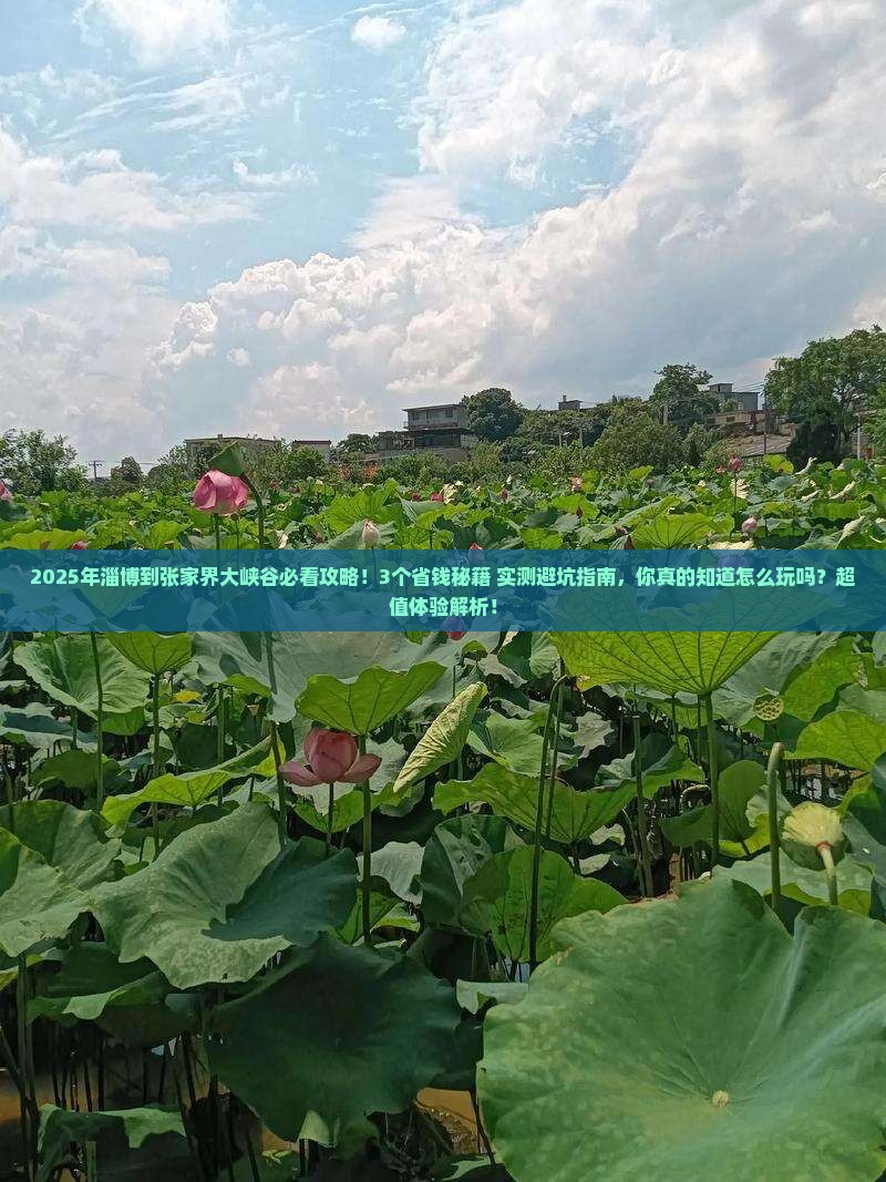 淄博到张家界大峡谷攻略