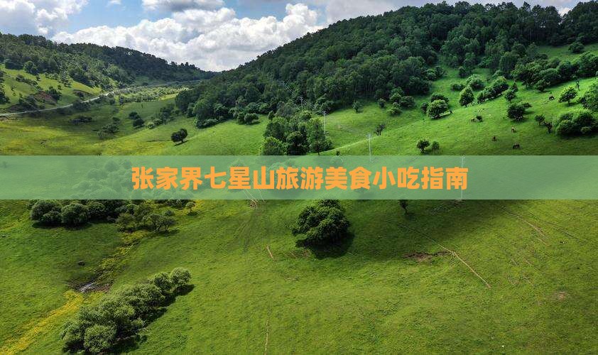 黔东南去张家界七星山旅游小吃