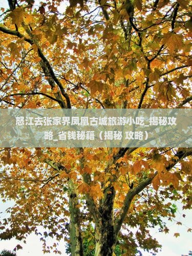 怒江去张家界凤凰古城旅游小吃