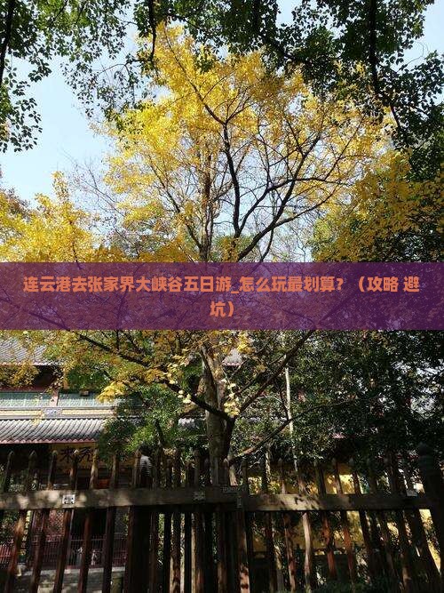 连云港去张家界大峡谷五日游