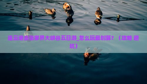 连云港去张家界大峡谷五日游