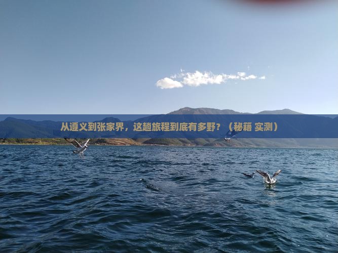 遵义到张家界旅游