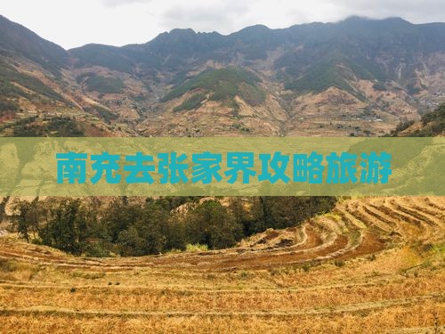 南充去张家界森林公园个人游
