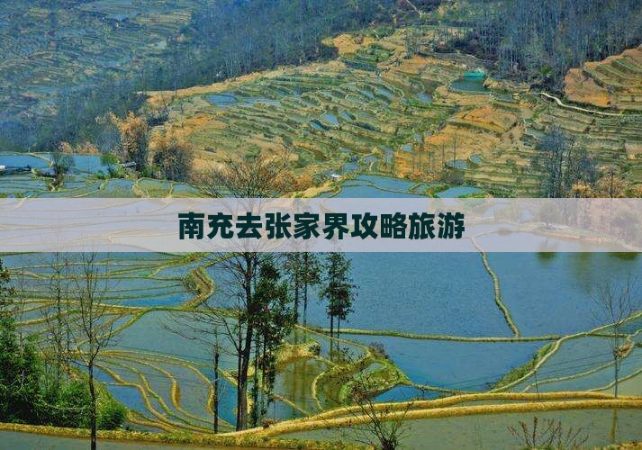 南充去张家界森林公园个人游