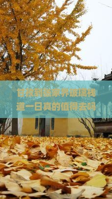 甘孜到张家界玻璃栈道一日