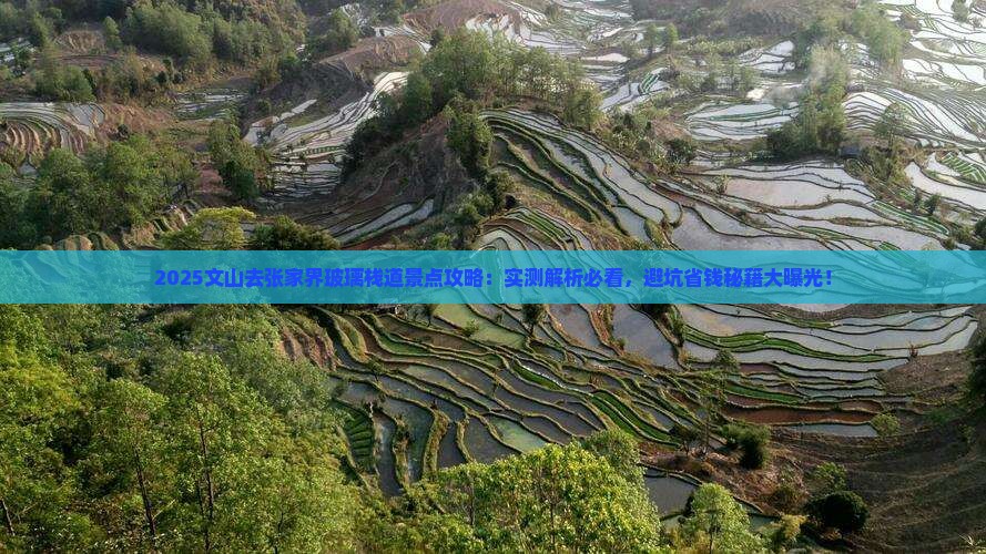 文山去张家界玻璃栈道景点