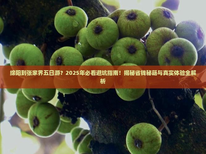 绵阳到张家界五日游