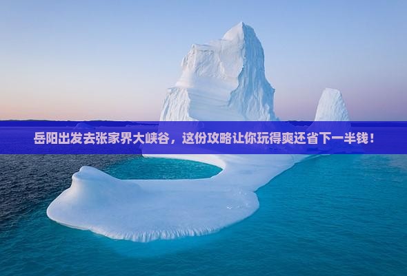 岳阳去张家界大峡谷旅行社