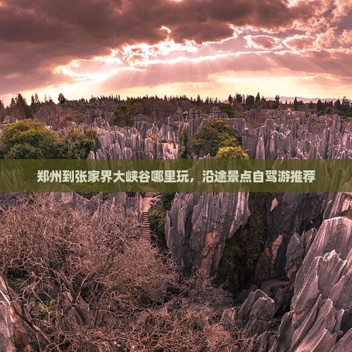 郑州到张家界大峡谷哪里玩