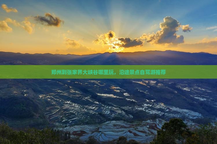 郑州到张家界大峡谷哪里玩