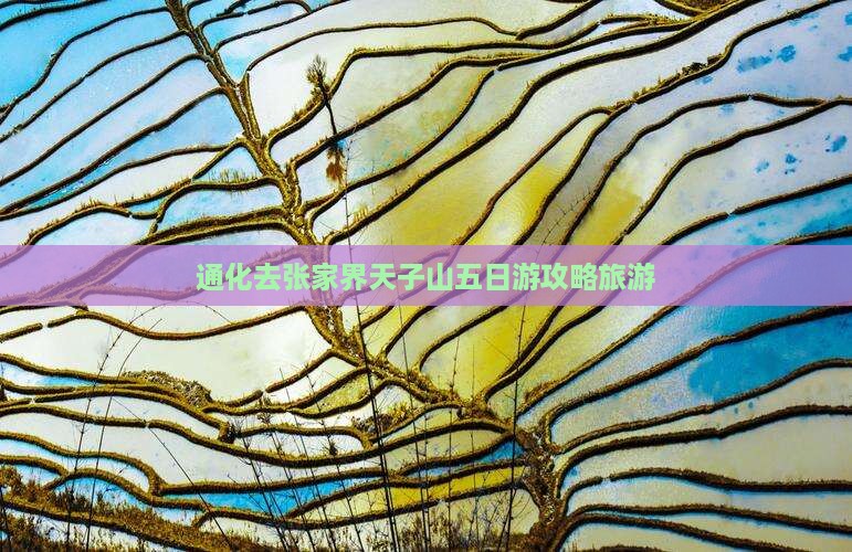 通化去张家界天子山五日游