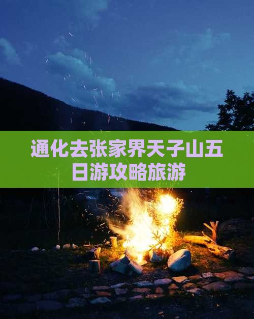 通化去张家界天子山五日游
