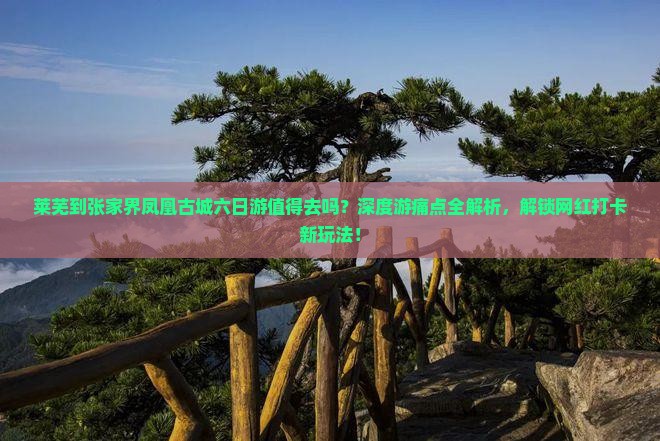莱芜到张家界凤凰古城六日游