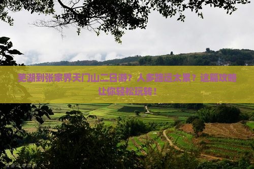 芜湖到张家界天门山二日游