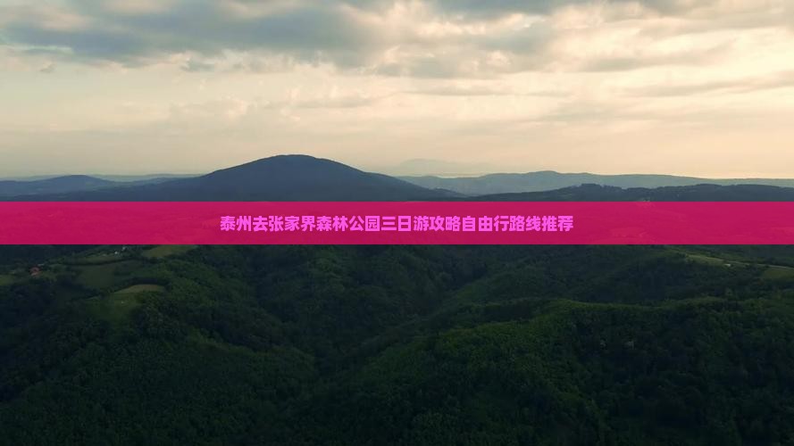 泰州去张家界森林公园三日游