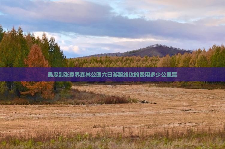 吴忠到张家界森林公园六日游