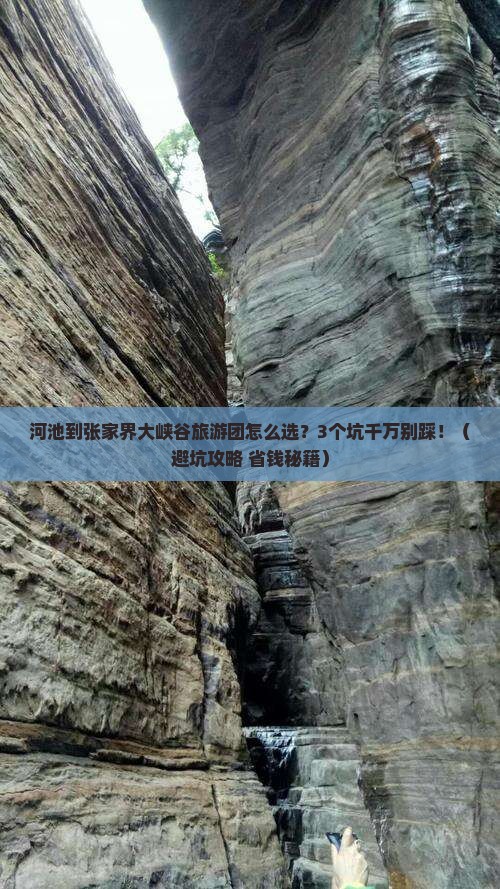 河池到张家界大峡谷大型旅游团