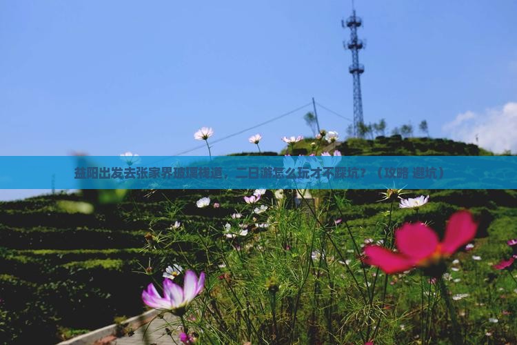 益阳去张家界玻璃栈道二日游