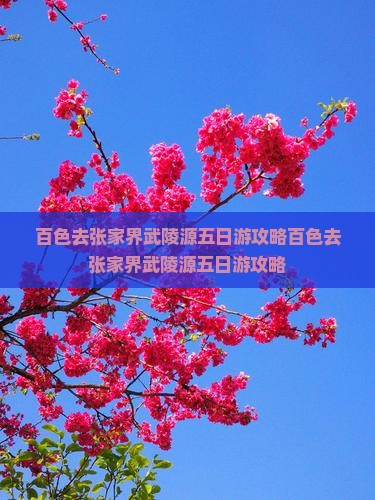 百色去张家界武陵源五日游 百色去张家界武陵源五日游