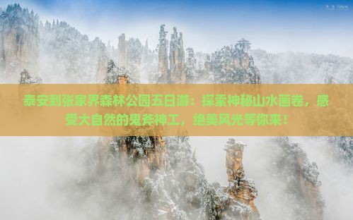 泰安到张家界森林公园五日游
