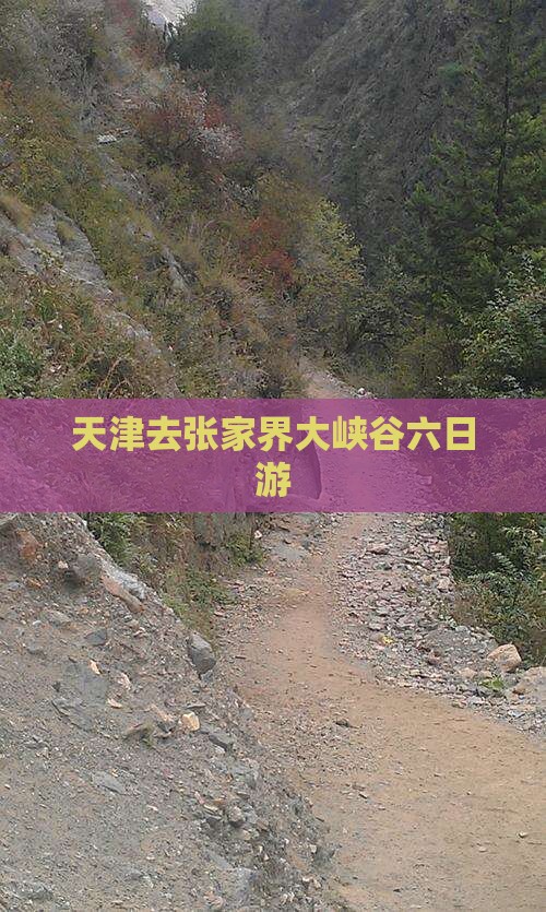 天津去张家界大峡谷六日游