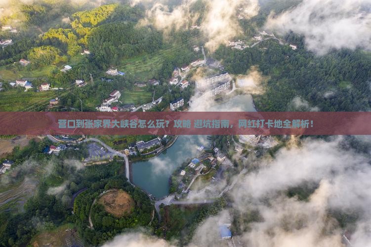营口到张家界大峡谷哪里玩