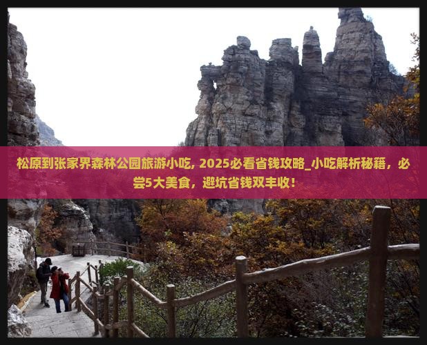 松原到张家界森林公园旅游小吃