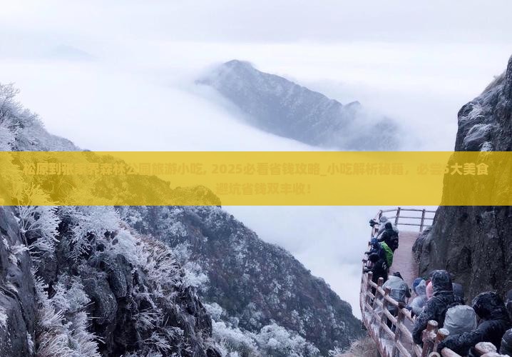 松原到张家界森林公园旅游小吃