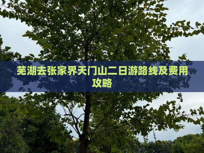 芜湖去张家界天门山二日游