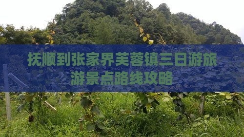 抚顺到张家界芙蓉镇三日游