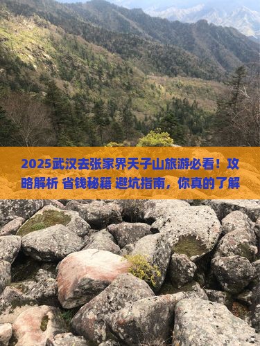 武汉去张家界天子山旅游
