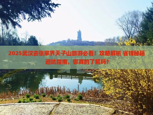武汉去张家界天子山旅游