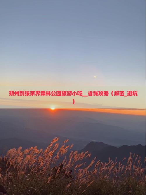 朔州到张家界森林公园旅游小吃