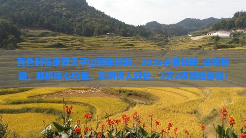百色到张家界天子山团体旅游