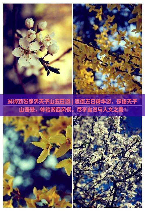 蚌埠到张家界天子山五日游