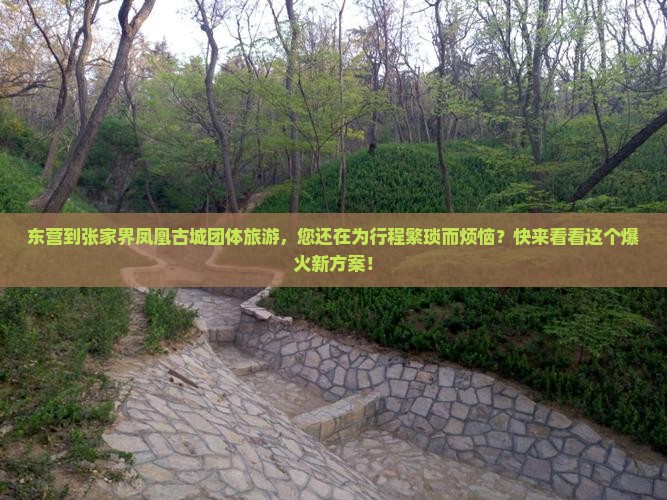 东营到张家界凤凰古城团体旅游