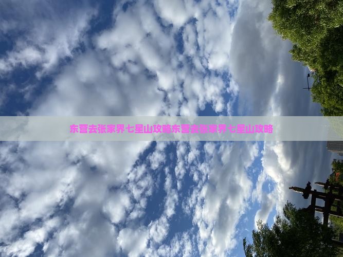 东营去张家界七星山攻略