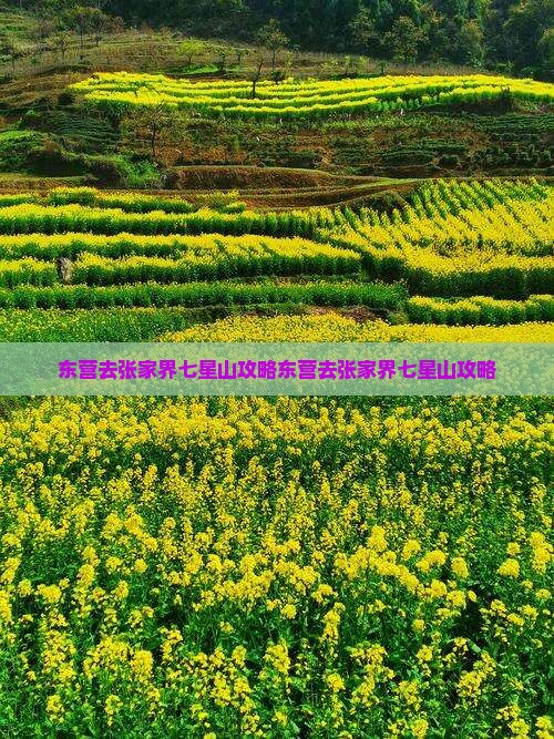 东营去张家界七星山攻略