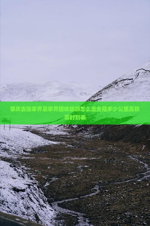 肇庆去张家界袁家界团体旅游