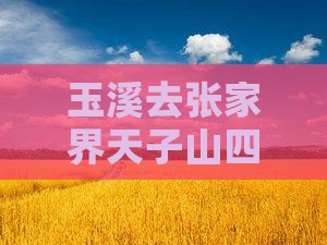 玉溪去张家界天子山四日游