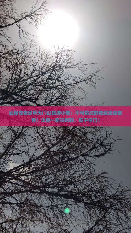 汕尾去张家界天门山旅游小吃