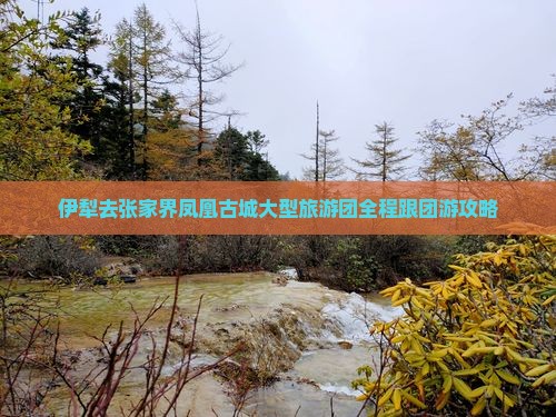 伊犁去张家界凤凰古城大型旅游团